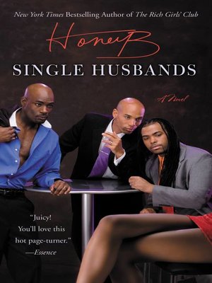 cover image of Single Husbands